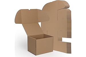 RLAVBL 8x6x6 Cardboard Shipping Boxes for Small Business