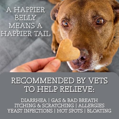 Miniatura 2 de Primal Nutrition Probióticos para perros, enzimas digestivas para la flora intestinal, la salud digestiva, la diarrea y el apoyo intestinal,