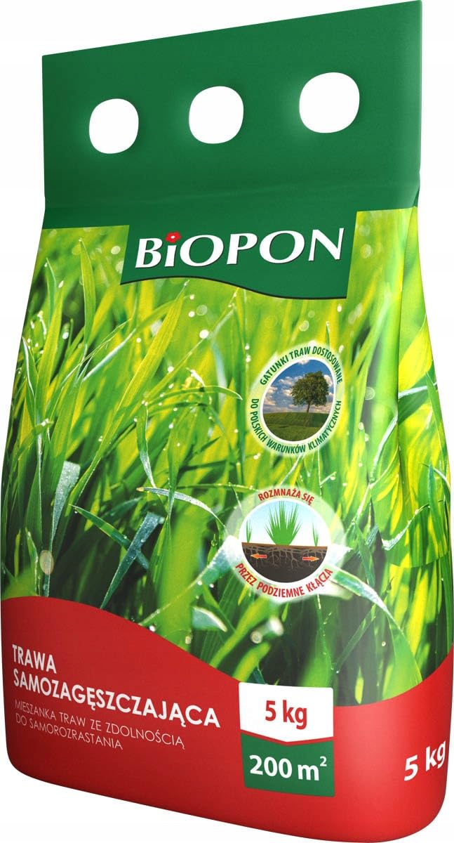 Césped autoespesante Biopon 5 kg hierba mixta con capacidad de auto-crecimiento