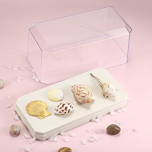 Miniatura 3 de Hipiwe Vitrina de exhibición a prueba de polvo, modelo de coches, escaparate rectangular coleccionable, caja de exhibición con base beige, vitrina