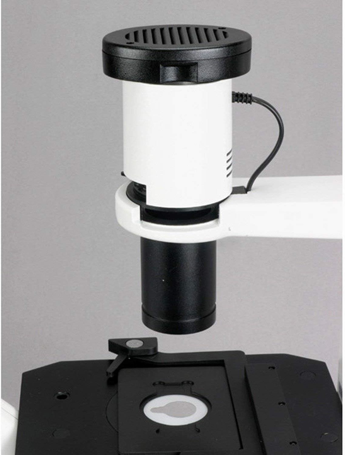 AmScope IN300T Long Working Distance Inverted Trinocular Microscope, 40x-400x, WH10x Super-Widefield Eyepieces, Phase-Contrast Objectives, 30W Halogen Illumination, 0.3 NA Abbe Condenser, Mechanical Stage, 110V