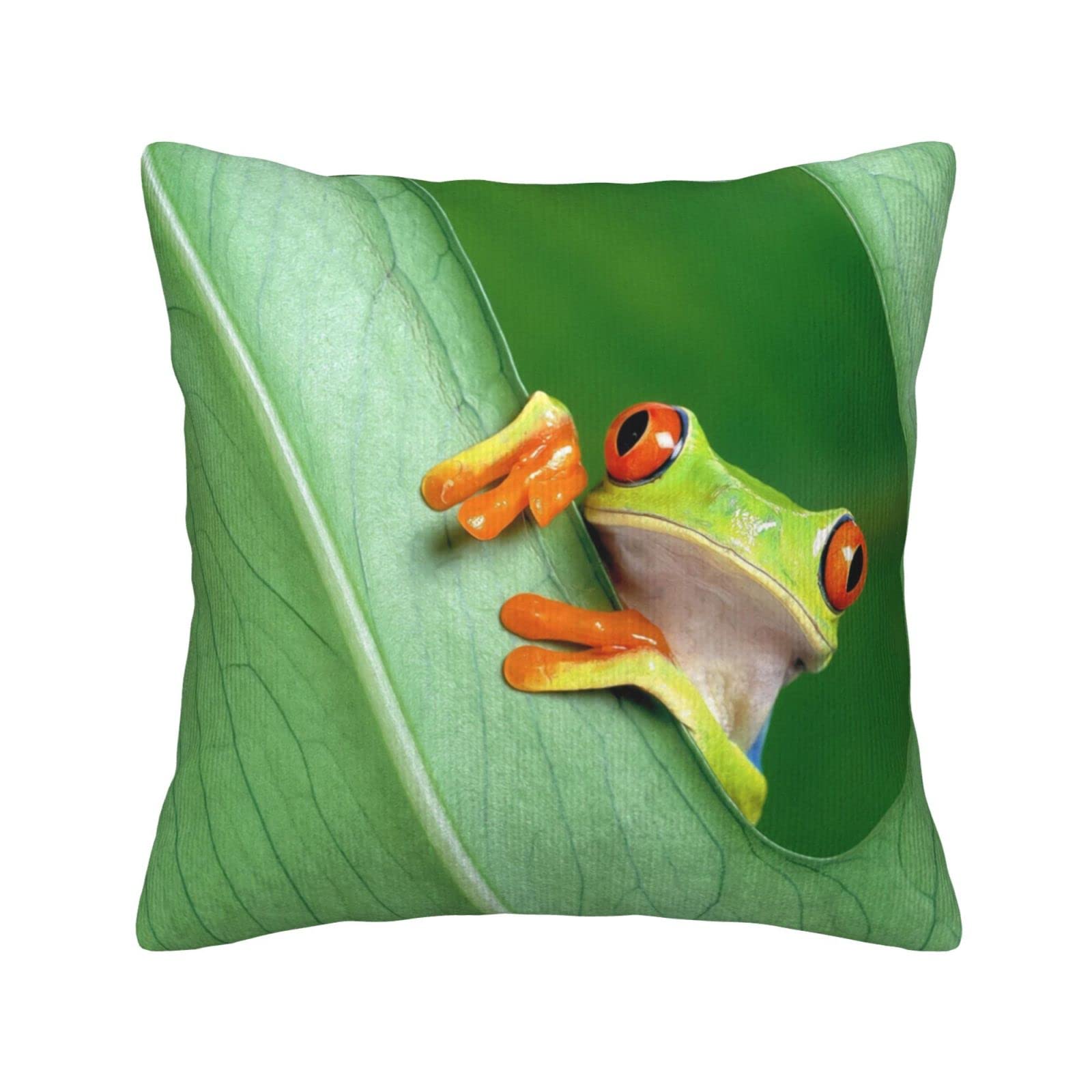 Housse de coussin velours côtelé grenouille pour salon