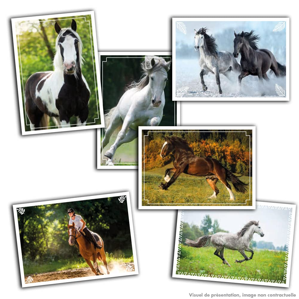 Panini Konie 2023 Blister 13+2 oferowane, 004626KBF14