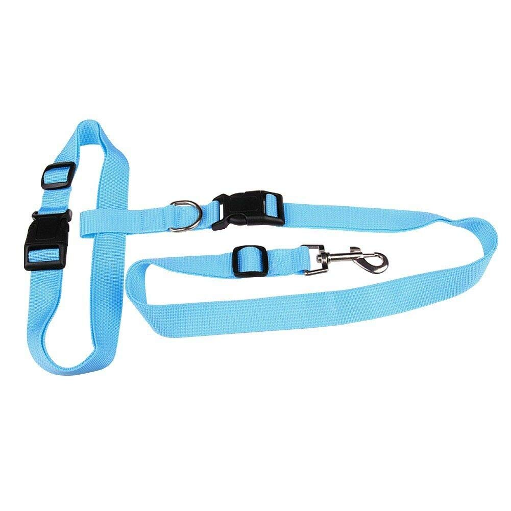 Cutdek Hands Free Dog Lead Walking Running Jogging Waist Belt