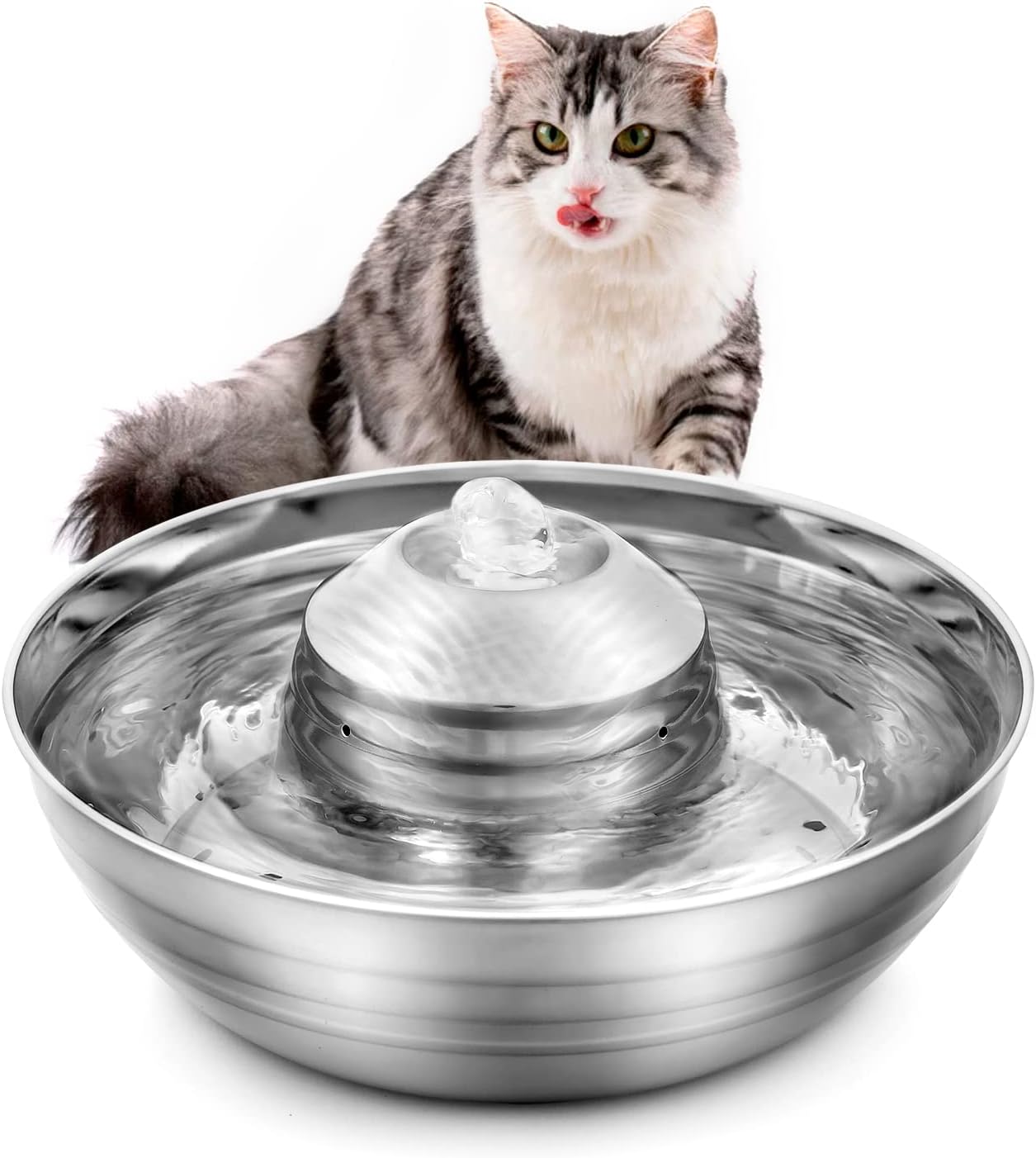 GISOFIK 67oz/2L Cat Water Fountain, Automatic SUS304 Stainless Steel Dog Water Fountain with 360° Water Flows, Ultra-Quiet Cat Water Dispenser Pet Water Fountain with Activated Carbon Filter