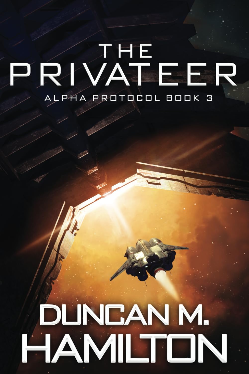 The Privateer: Alpha Protocol Book 3