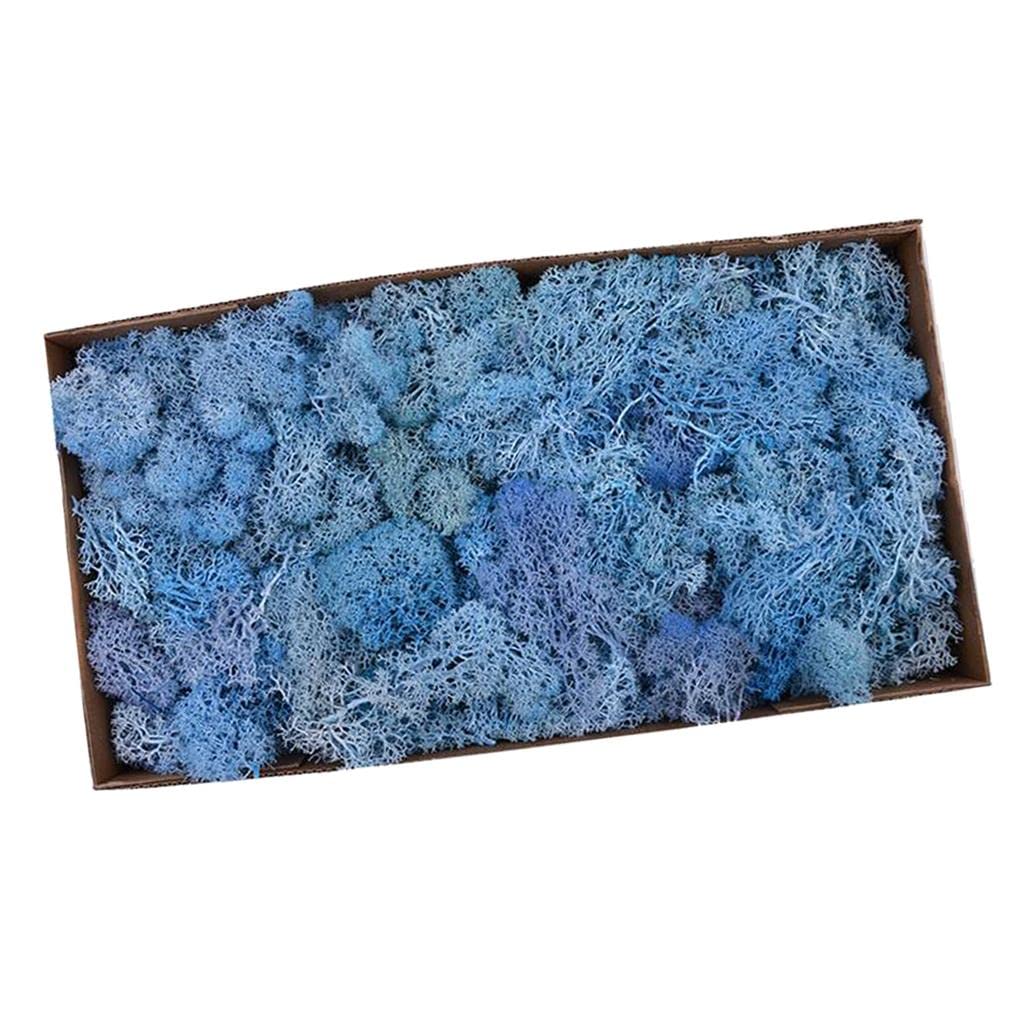 Reindeer Fiore Artificiale Fiore Preservato Fiore Secco Fiore Liner Muschio Naturale Stabilizzato con Adatto per Decorazione Domestica, Blu