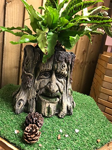 giftwarez Mans Face Tree Trunk Stump Herb Flower Planter Garden Plant Box Bucket Pot Tub