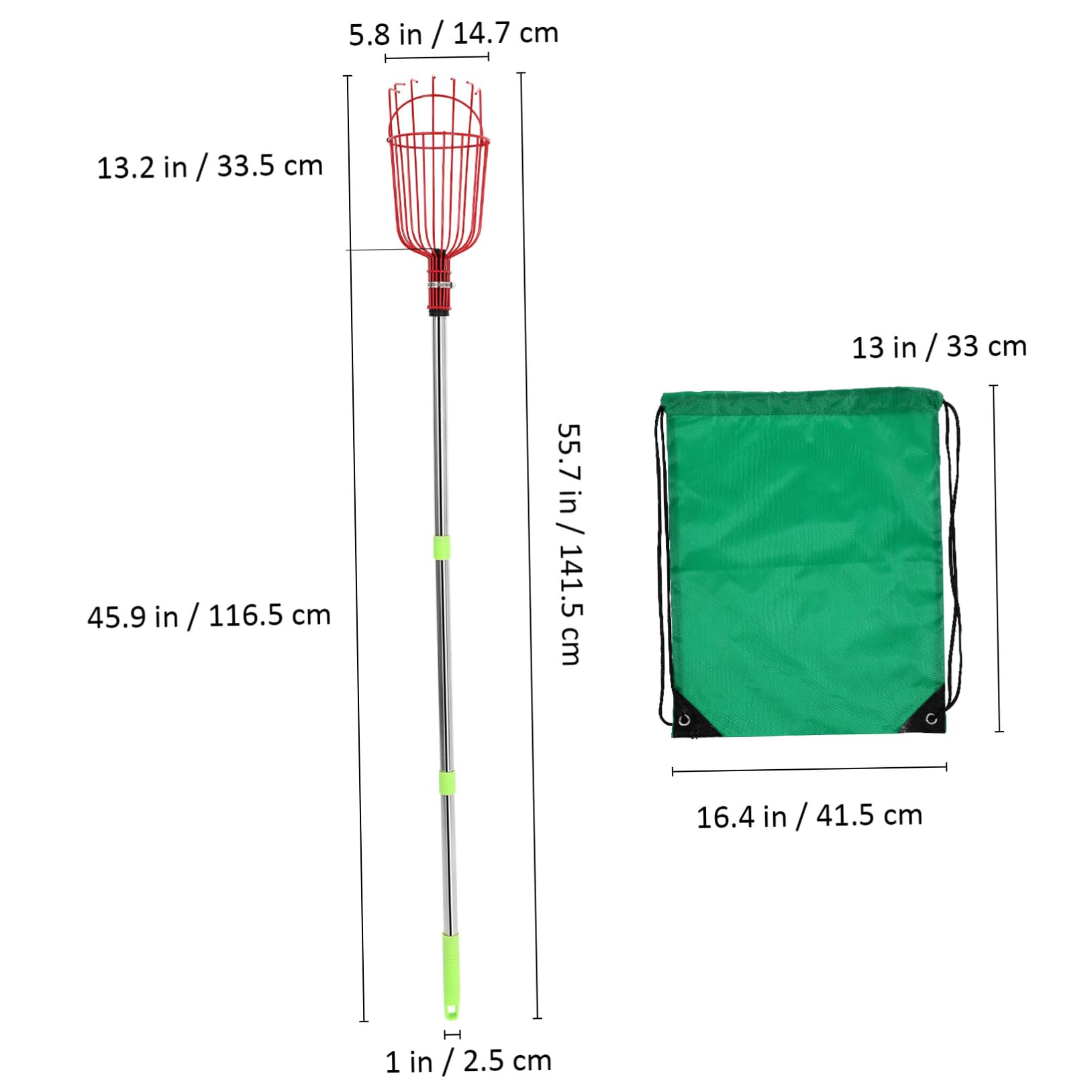 Raccoglifrutta Telescopico in Acciaio Inox 1,2 M Cestello Imbottito e Testa ad Artiglio, Strumento Leggero per Raccolta di Arance, Limoni e Pere da Alberi Alti, Utensile Versatile