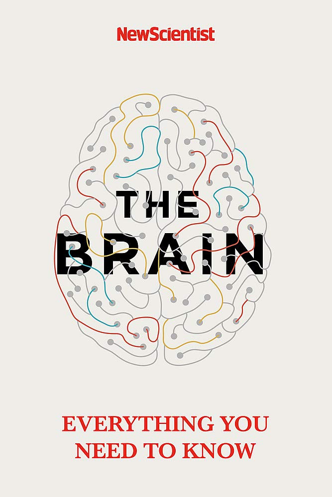 The Brain
