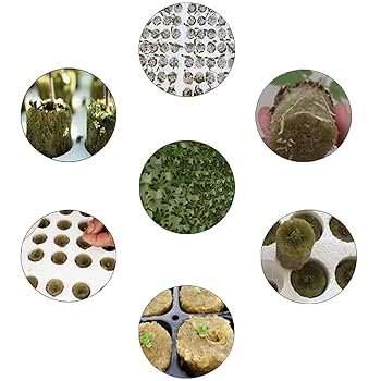 Micacorn Rock Wool Cubes, 28 Pcs Rockwool Starter Plugs, Hydroponic Growing Soilless Cultivation Compress Base Stonewool Grow Cubes Starter Sheets For Plants Starting Root Cuttings Plant Growth