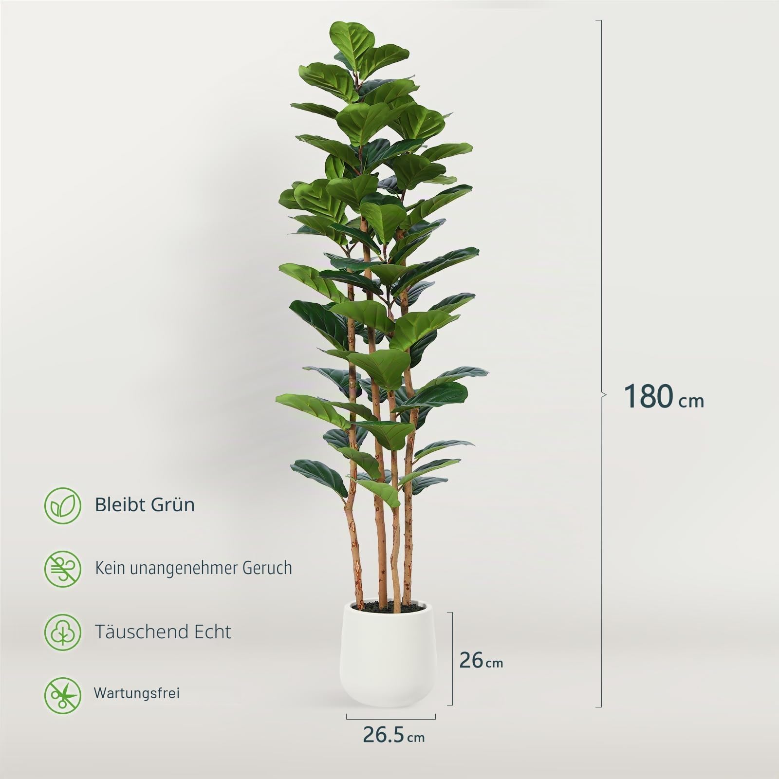 Kazeila Künstliche Geigenfeige 180cm, Ficus Lyrata mit weißem Topf | 4 Naturholzstämme, große Blätter, weißes Pflanzgefäß, pflegeleicht, für Wohnzimmer Büro Indoor, nicht sonnenfest