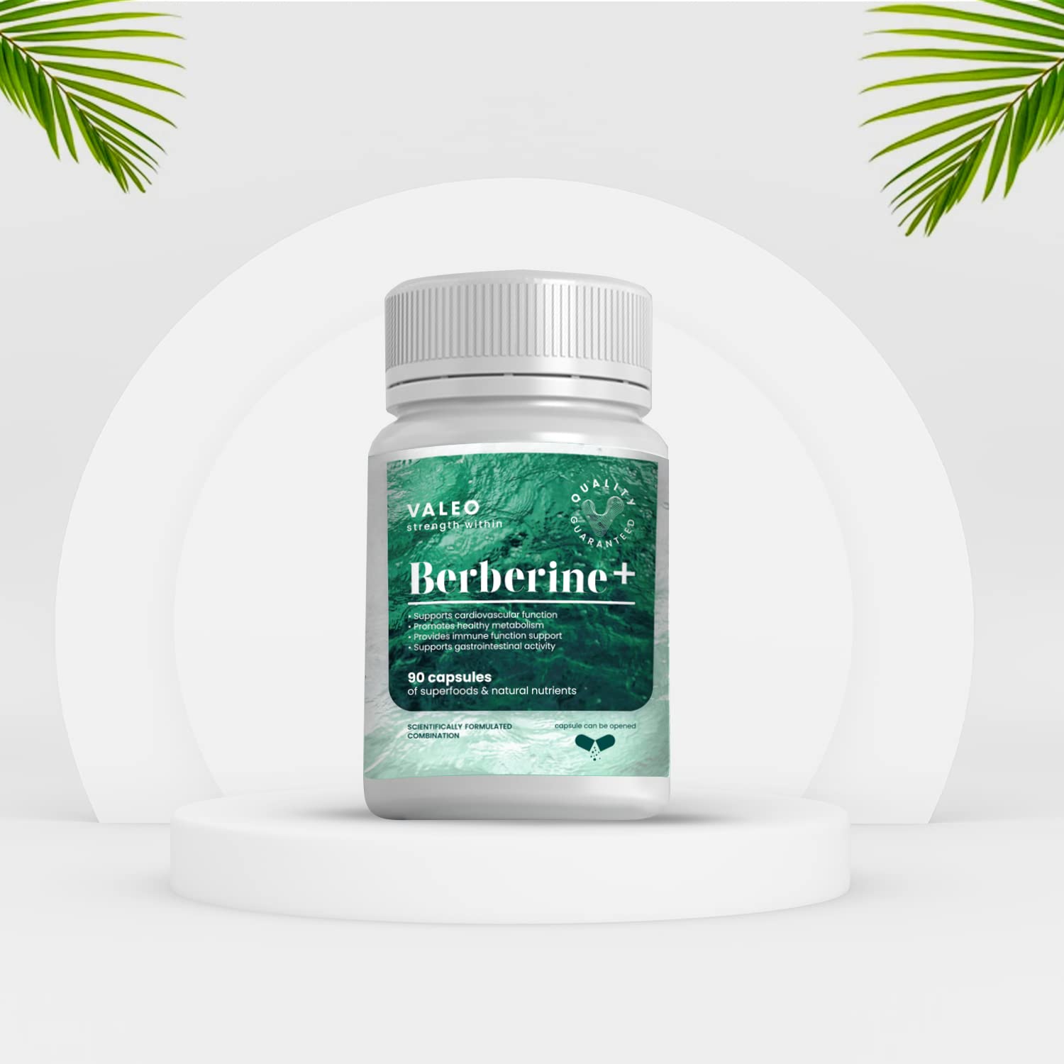 Valeo Berberine+ 90 capsules - 97% Purified and Bioavailable - Highly Concentrated- Supports Immune System, Blood Sugar, Cholesterol and Metabolism