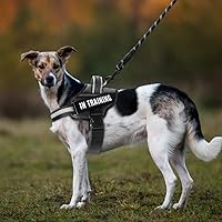 Vista 7 de Juego de arnés de chaleco y correa para perro, arnés de entrenamiento para perro con 10 parches para perros, correa reflectante para perro con mango