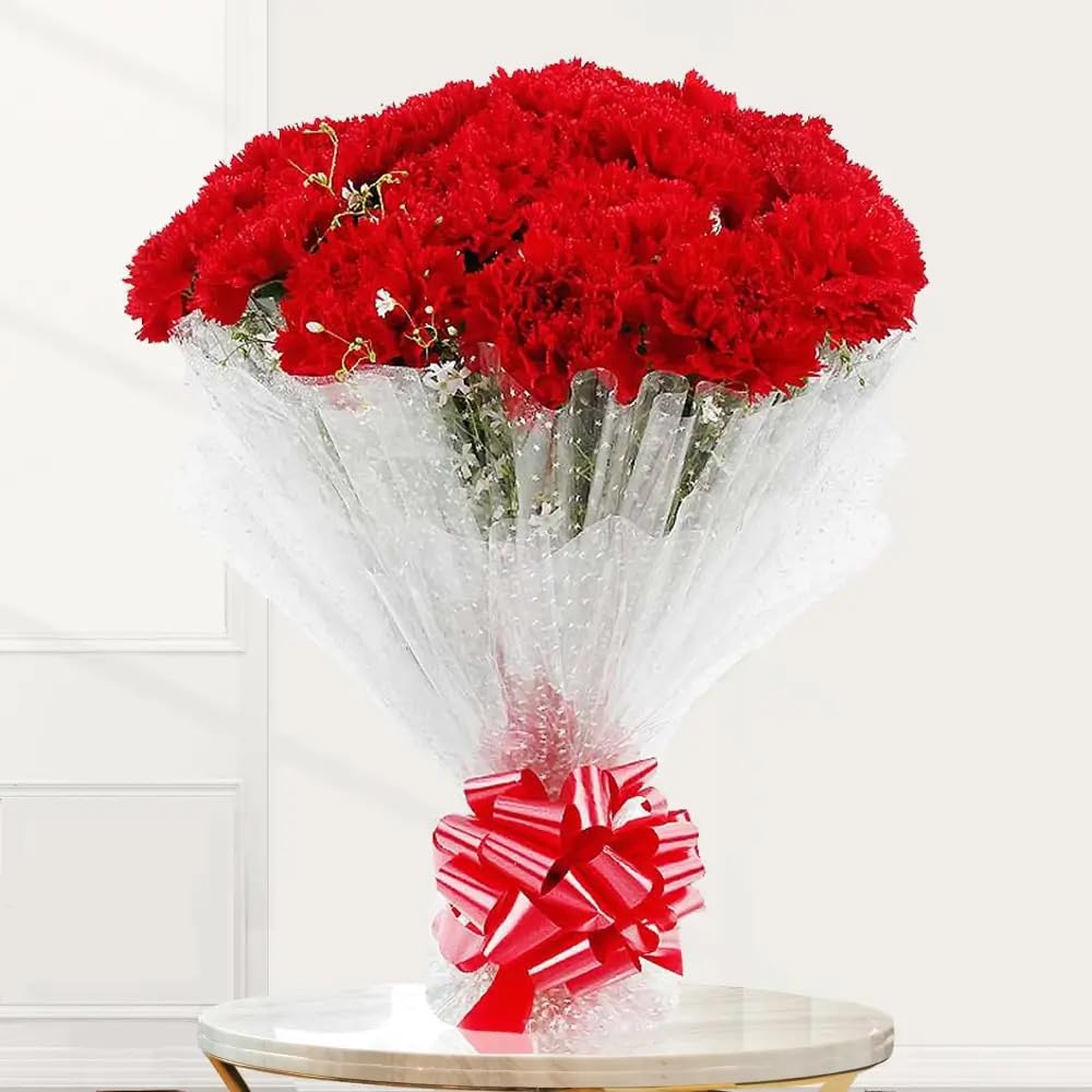 IFG's 15 Red Carnations Bouquet in Transparent Wrap | Send Live Flower on Birthday, Anniversary, Father's Day, Mother's Day, Congratulations & Retirement | Natural Flower Delivery in 4 hrs-image-3