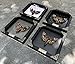 VINADECOR Real Death Head Moth Acherontia Entomology Black Wooden Frame Handmade - Skull Moth Frame Taxidermy Taxadermy K18-01-NEM