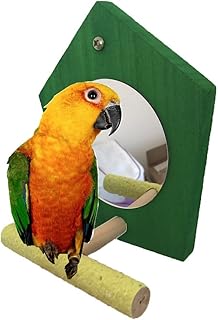 Bird Parrot Mirror Toy with Perch Parrot Parakeet Budgies Cockatiel Conure Finch Lovebird African Grey Macaw Amazon Cockatoo Birdcage Wood Stand Hanging Cage Accessories (Color Random)