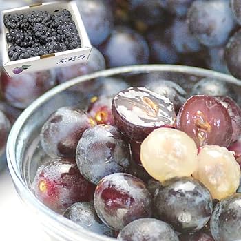 乾燥山ぶどう蔓混材、2kg セット。　　7-05 乾燥山ぶどう蔓混材、2kg セット。 7-05 乾燥山ぶどう蔓混材、