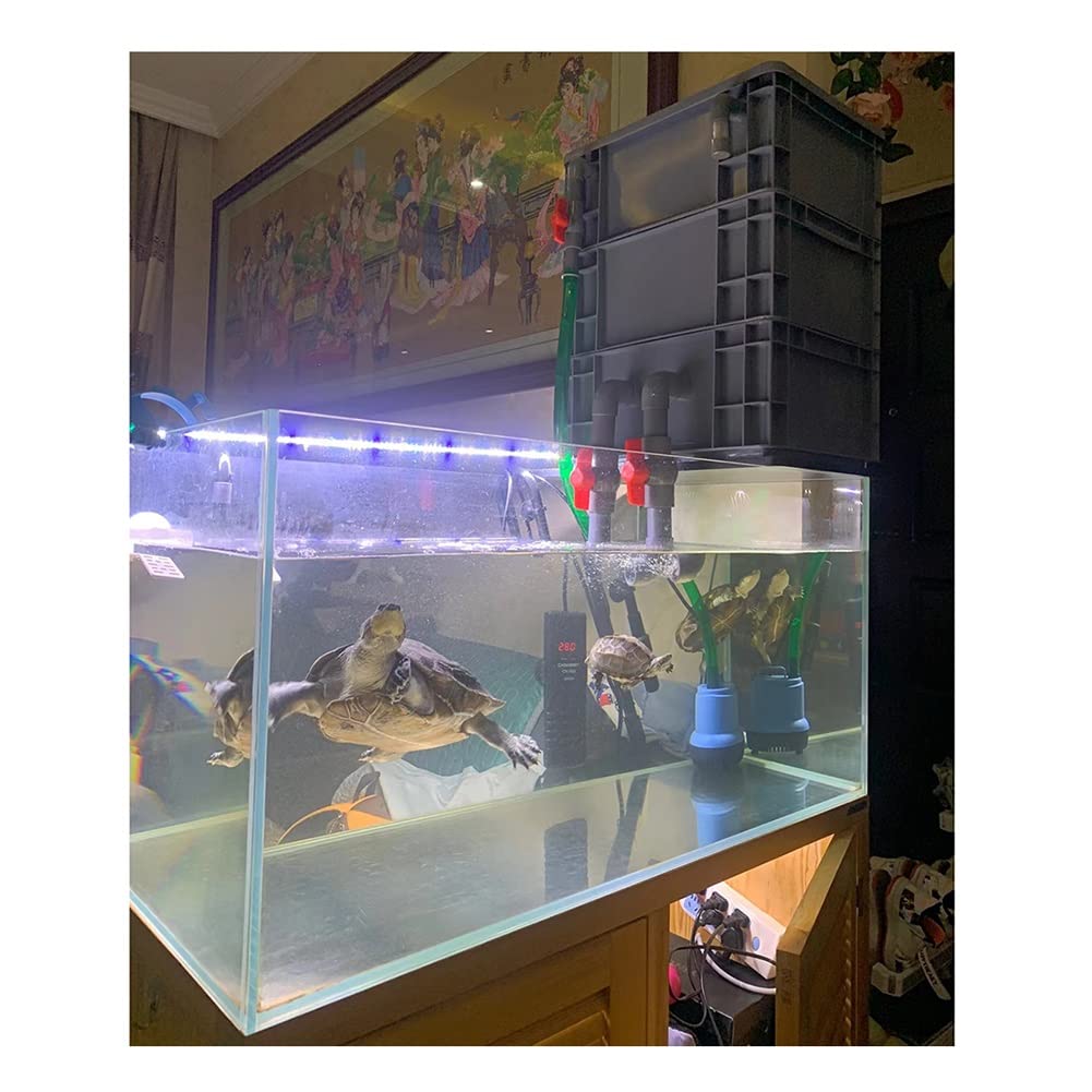 Filtro Externo para Acuario, Caja purificadora de circulación de Agua para pecera, filtración de 3 Capas, no Incluye Bomba ni Medios filtrantes, fácil de Limpiar y Montar (Color: g