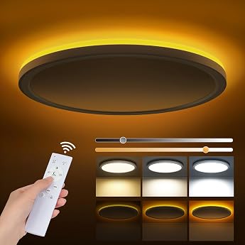 LED Ceiling Light Dimmable 24 W 2800 LM Ceiling Light with Remote
