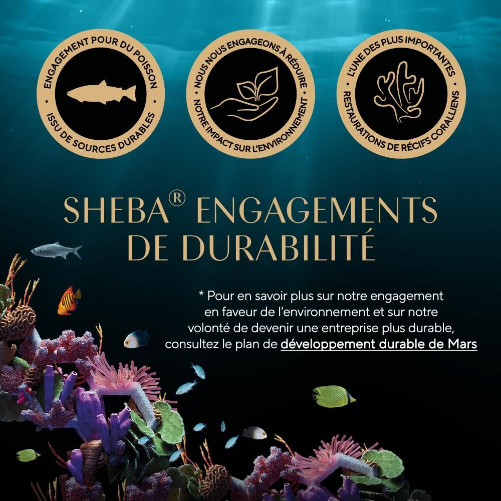 Sheba Délices du Jour Set de 12 x 6 Sachets Fraîcheur à La Volaille/aux Poissons en Sauce pour Chat 50 g