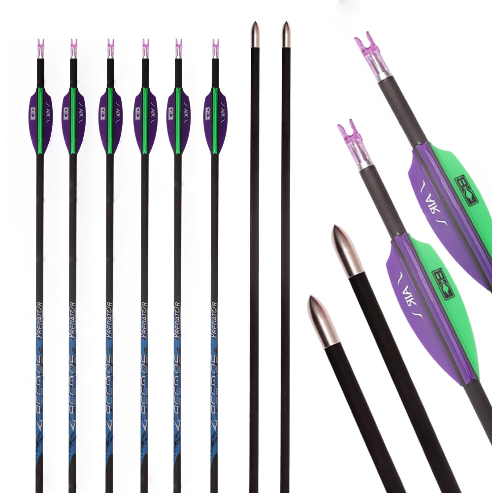 12 Pezzi ID 4,2 mm Frecce di Targeting Spine 250 300 350 400 500 600 650 700 750 800 900 1000 Freccia da Pratica di Caccia, per Giovani Adulti Tiro con L'Arco