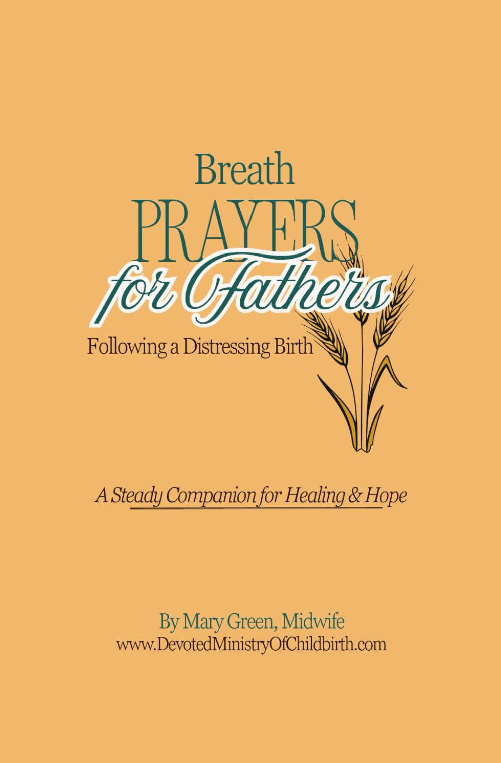 Breath Prayers for Fathers Following a Distressing Birth: A Steady Companion for Healing & Hope