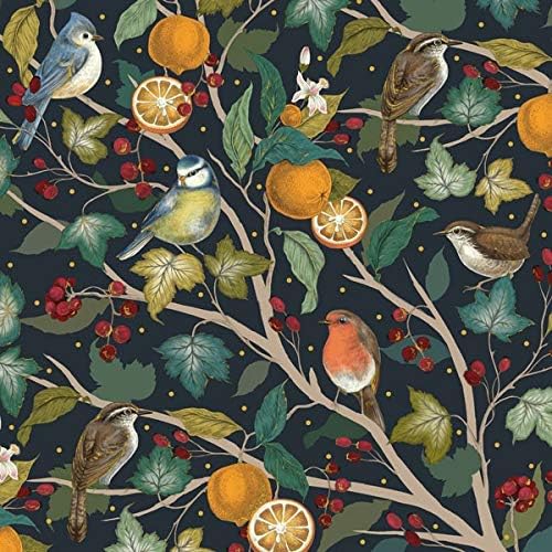 Christmas Card Box. Robins and Oranges. 8 Foiled and Embossed Christmas Cards. Size 16 x 16 cm Standard Postage