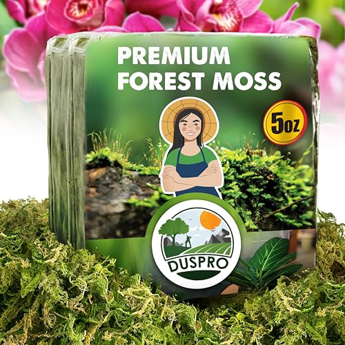 DUSPRO Dried Moss for Potted Plants, Forest Orchid Moss for Potting Mix, Sphagnum Potting Moss for Plants Indoor, Real Moss Soil Cover for Houseplant (5 OZ)