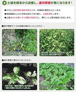 Amazon | 肥料 スーパー植物活力液 美味大豊作GT-S 20リットル
