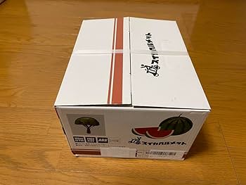 新品 未使用 リード工業 スイカヘルメット TL-01 スイカ柄　出川哲朗 新品 未使用 リード工業 スイカヘルメット TL-01 スイカ柄 出川