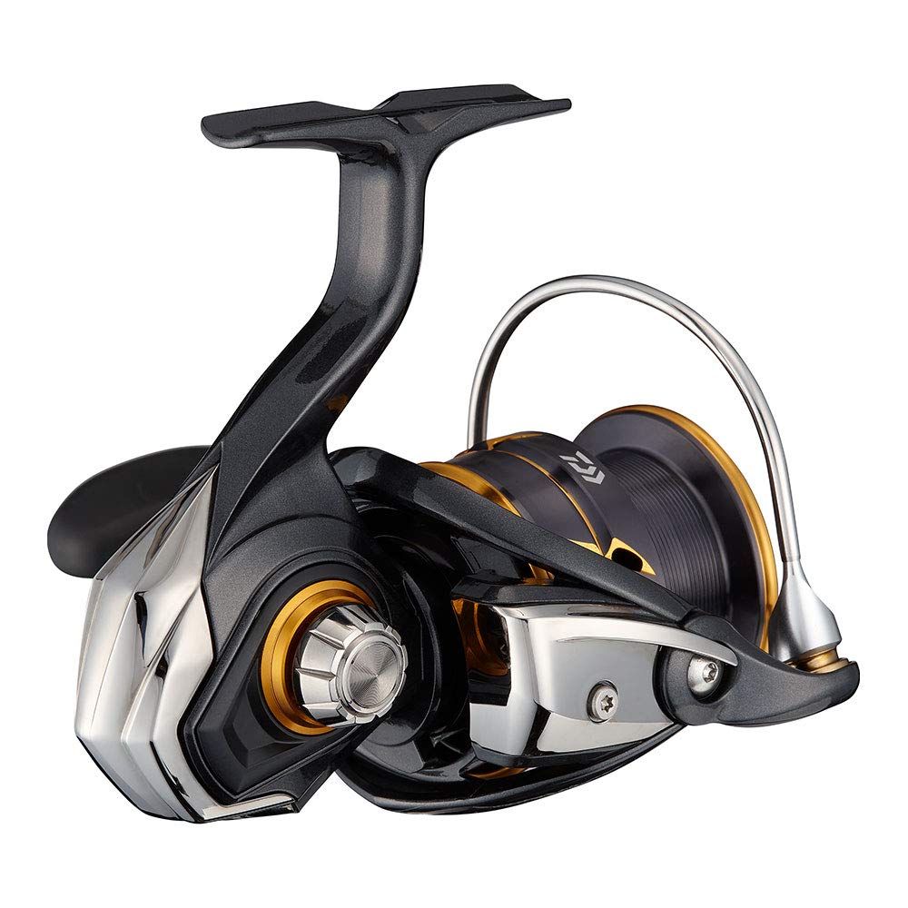 Daiwa 21 CALDIA FC LT 2500 : Amazon.it: Sport e tempo libero