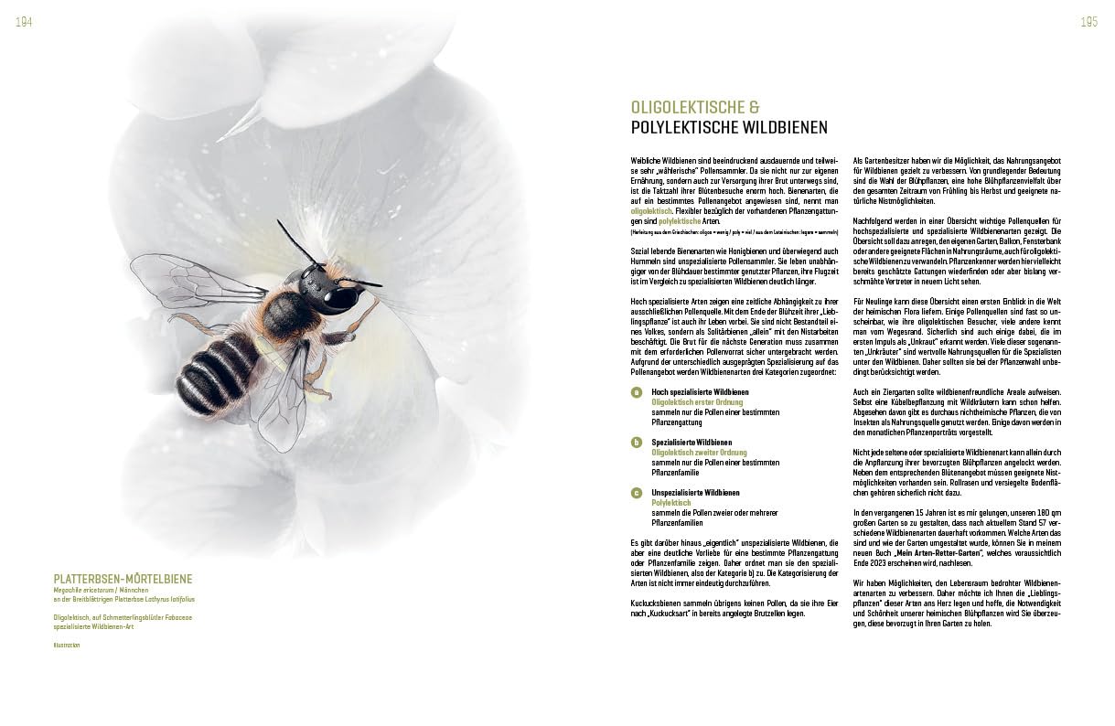 WILDBIENENHELFER: Wildbienen & Blühpflanzen