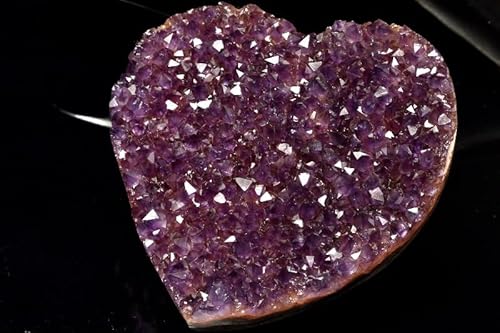 ytzyP_z󏭁EOACY AWXgNX^[ 86x84x38mm n[g _CG6877y}ւ̂݁z VR p[Xg[ 