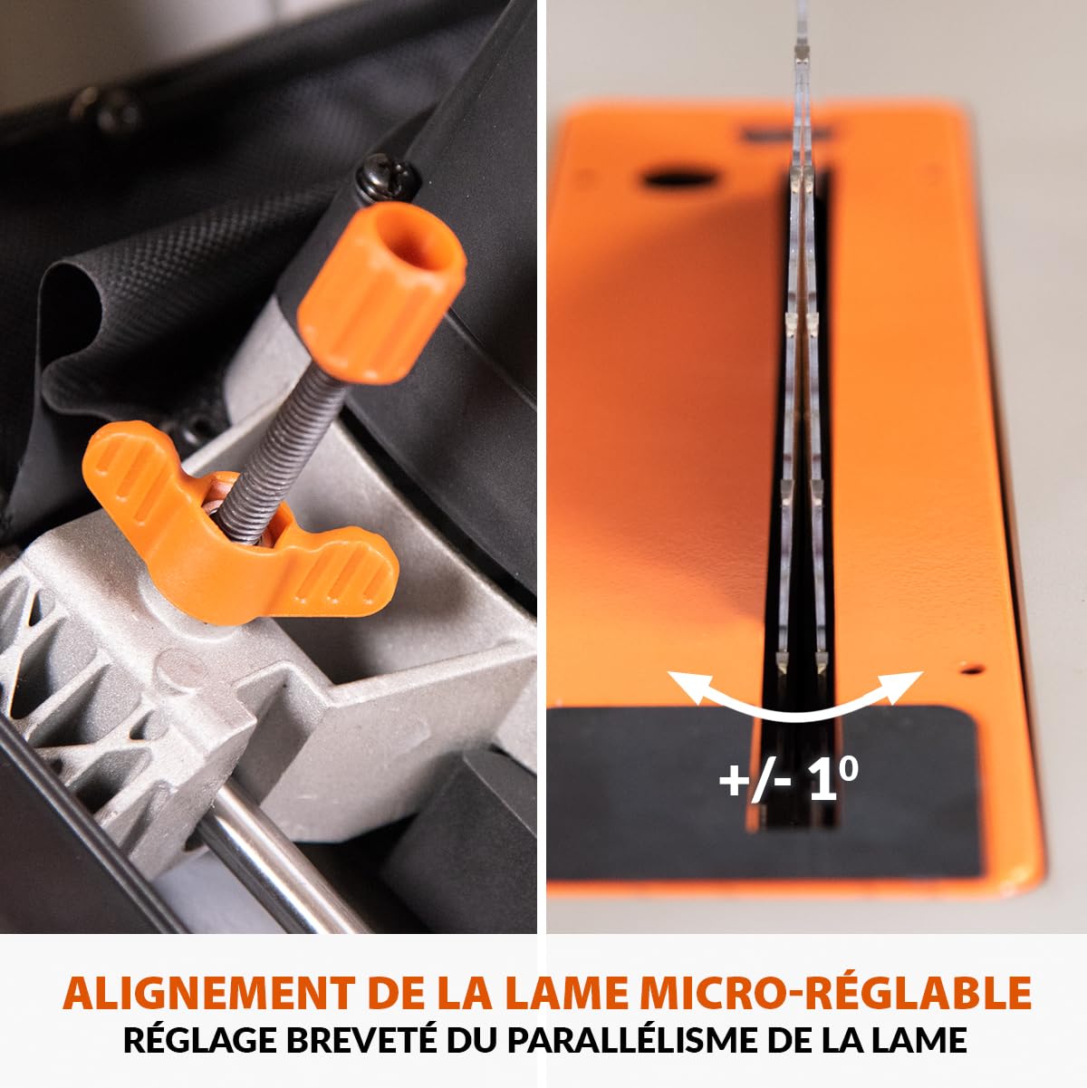 Evolution Power Tools R255TBL+ Scie De Table Rage 5-S Lame Multi-Matériaux 1800W Coupe Bois Métal Plastique Chanfrein 45° Onglet +/-60°