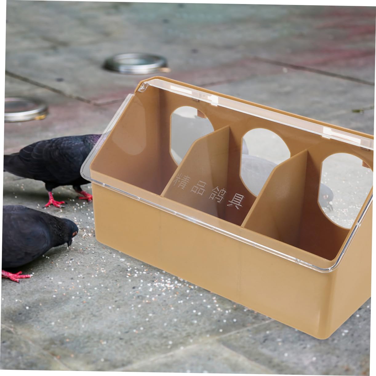 2 pièces Mangeoire Suspendue pour Pigeons et Petits Oiseaux Distributeur Alimentaire Anti-éclaboussures Capacité Résistant à Usure pour Volière et Jardin Lot