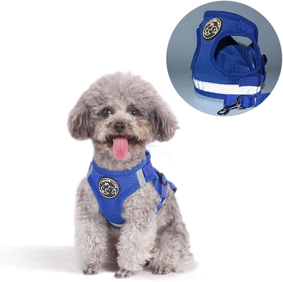 Hám részletes képe az állítható pántokkal és csatokkal