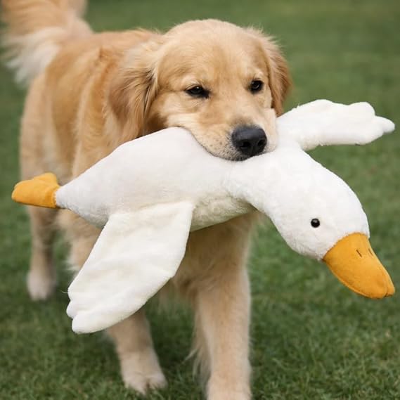Large Plush White Duck Dog Toy, Realistic Goose Dog Toy, Durable White Duck Dogs Toys for Medium & Large Dogs, Interactive Dog Toys for Chewing Playing Training (50cm)