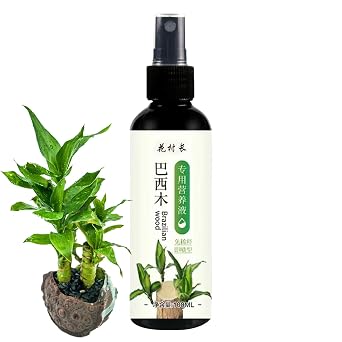 Brazilian Wood Fertilizer 100ml Brazil Wood Hydroponic Special Nutrient