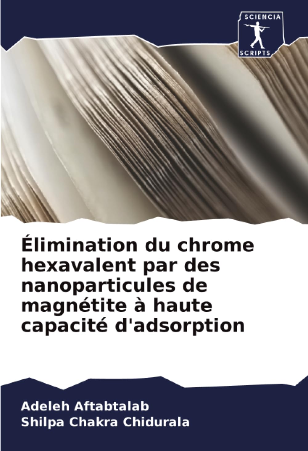 Élimination du chrome hexavalent par des nanoparticules de magnétite à haute capacité d'adsorption