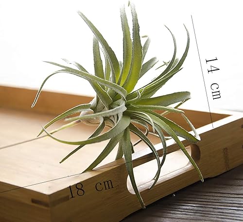 Miniatura 2 de ChezMax Plantas de aire Tillandsia flocadas artificiales de hierba de piña, suculentas sintéticas, bromelias, decoración de jardín para el hogar, 2