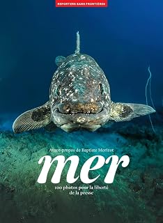 Mer
