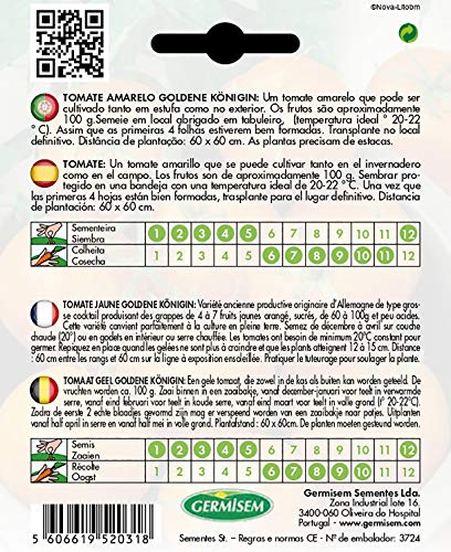 Germisem Tomate GOLDENE KÖNIGIN EC8022 mehrfarbig
