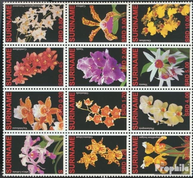 Sellos MNH de orquídeas con goma original en bloque Prophila