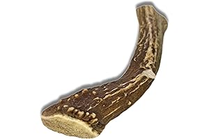 Whitetail Naturals Deer Antlers Extra Large for Aggressive Chewers