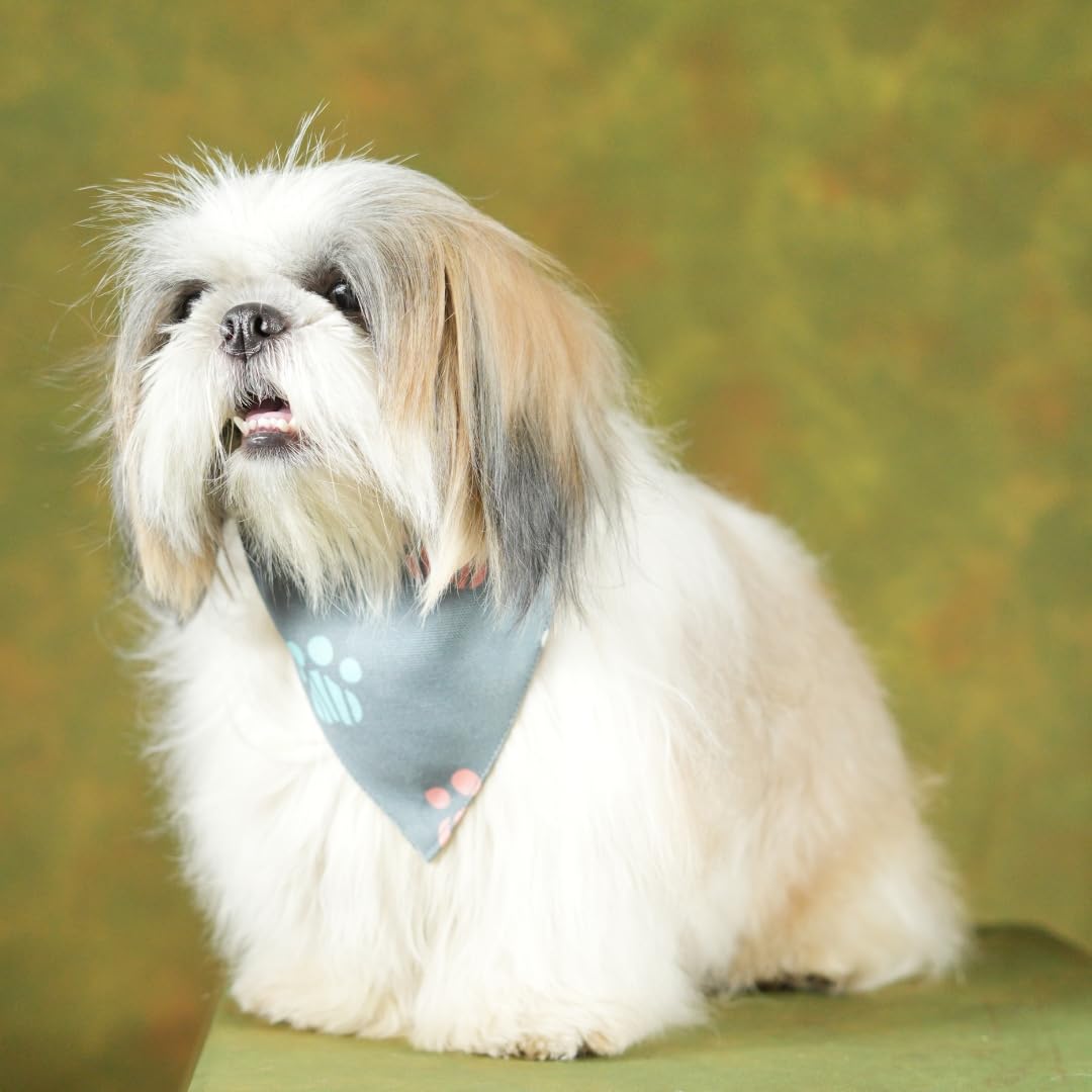UNLEASH Adjustable Dog Bandana/Dog Scarf/Dog Gift (Multicolour) (S, Grey Pow Design) (B0D7SX4FMS) Amazon Price History, Amazon Price Tracker