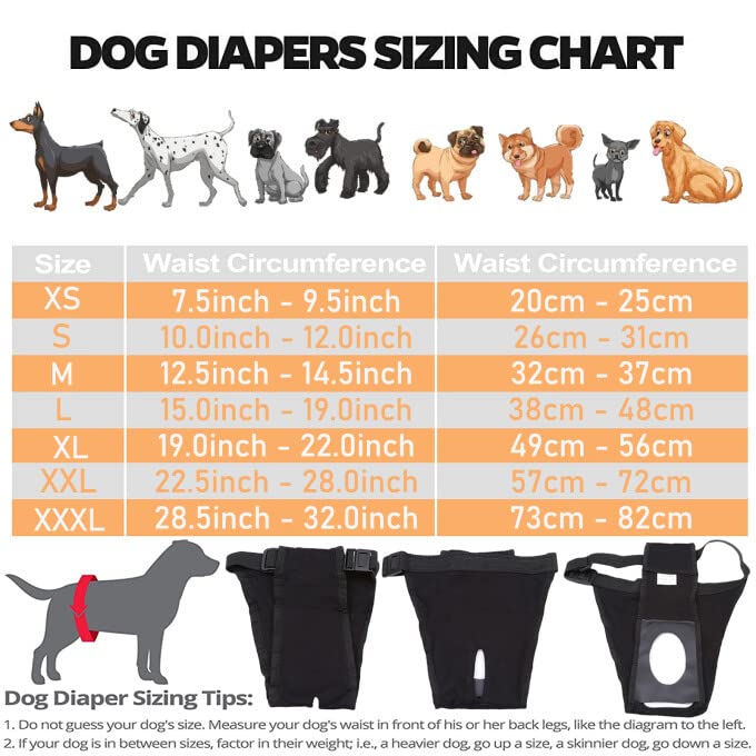 Mutandine Per Cane Femmina In Calore - 2 Pezzi Lavabili, Con 6 Assorbenti, Rete Traspirante - Foto 14