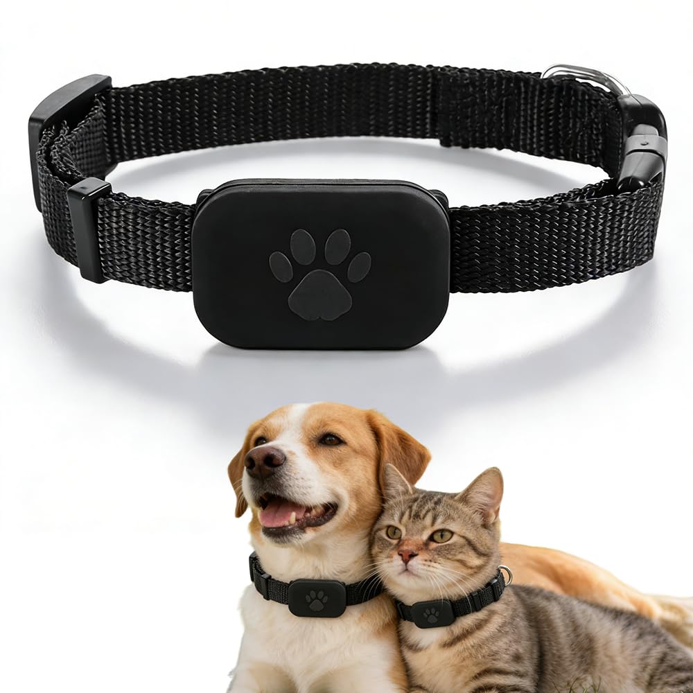 localizador GPS Perros, SGZIOO Tractive GPS Dog, Collar GPS Gatos, Sin Suscripción, Impermeable, Compatible con iOS Y Android (Negro)