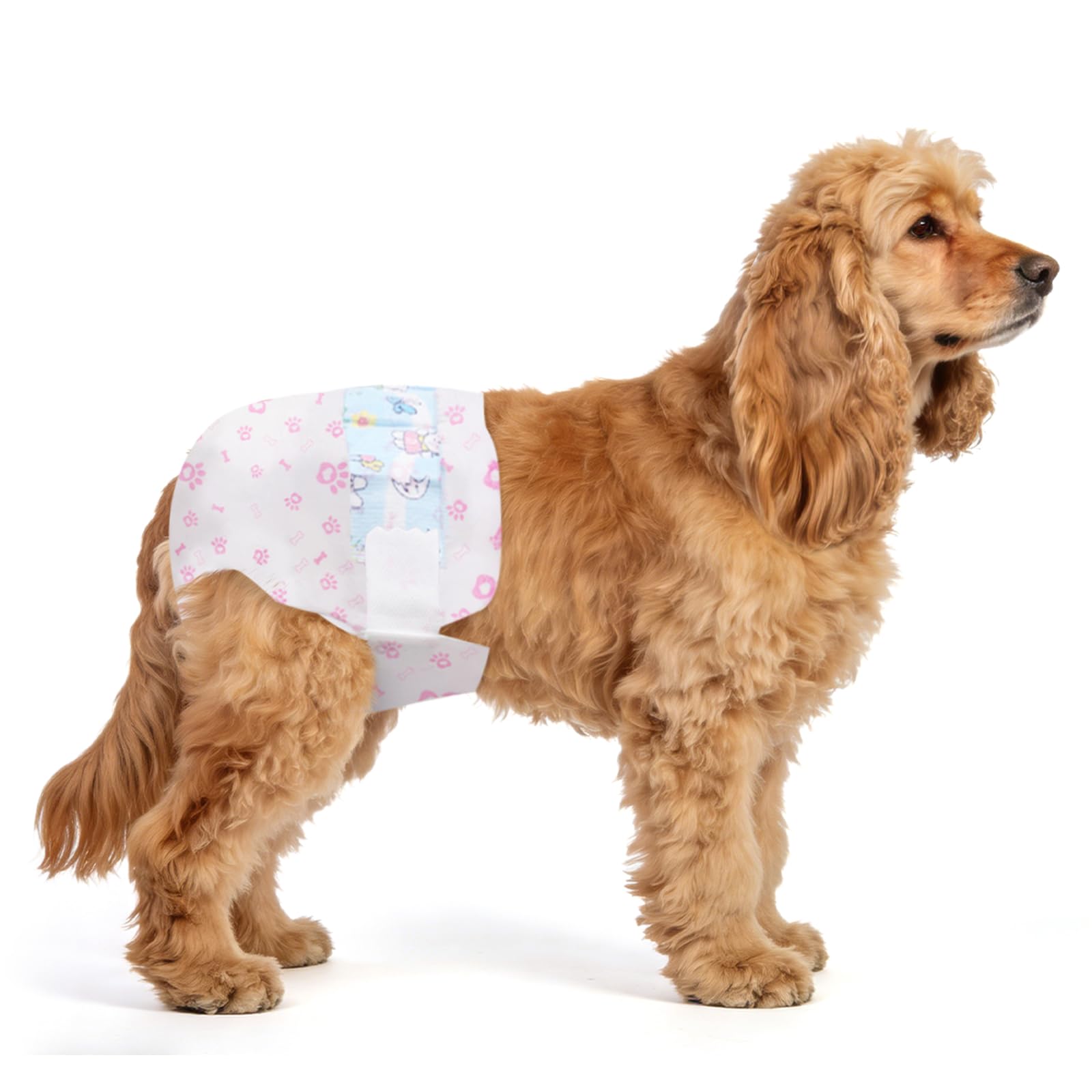 Pañales para perras, tamaño mediano, 80 unidades, pañales desechables para perritos, pañales para cachorros y gatos, súper absorbentes, aptos para perras en calor o incontinencia