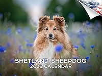 Vista 197 de Razas de Perros 2017